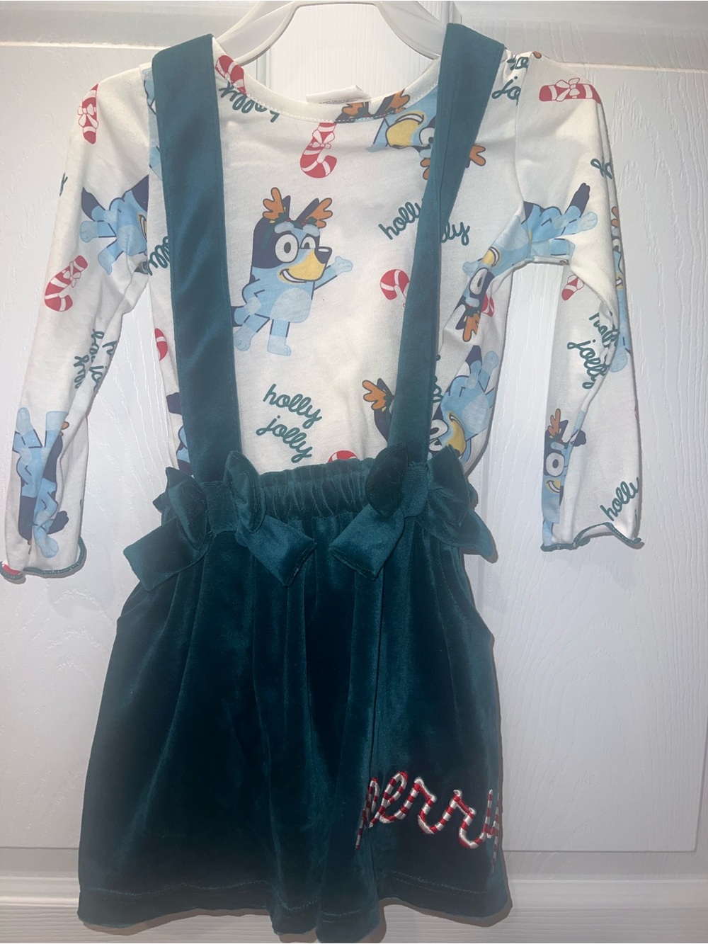 Christmas bluey skirt/dress set